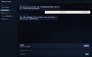 空洞骑士 深色