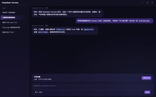崩坏星穹铁道 · 银狼 深色