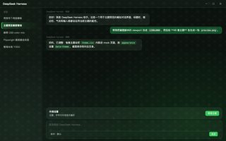 超级马里奥 · 路易吉 深色
