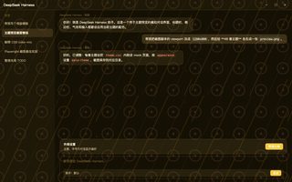 宝可梦 · 皮卡丘 深色