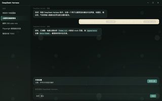 宝可梦 · 卡比兽 深色