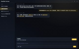宝可梦 · 月亮伊布 深色